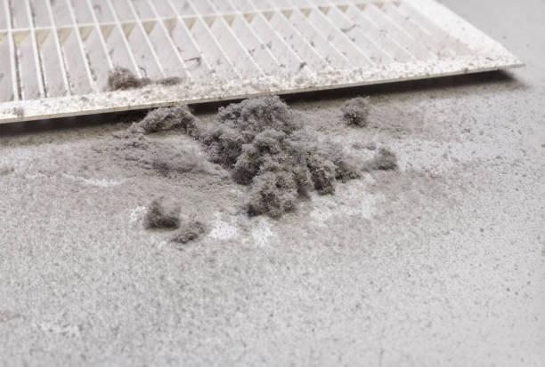 Best Ductwork Cleaning Services  in Long Branch, NJ